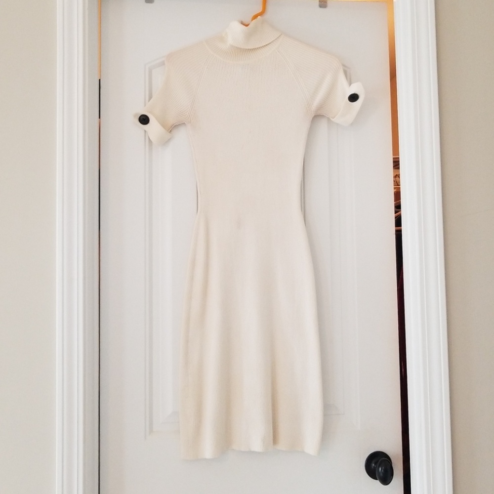 Turtleneck Dress